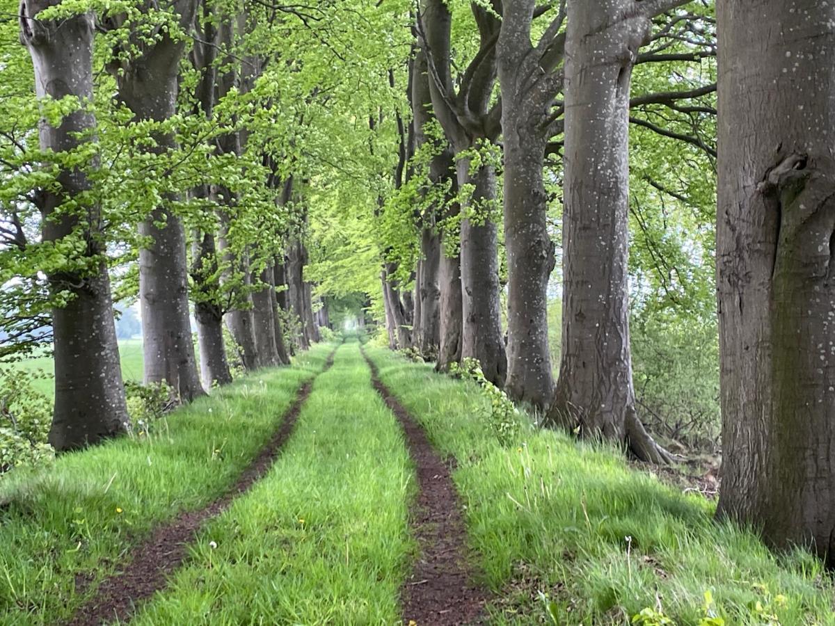 Het Riethuis Holthone Exteriér fotografie