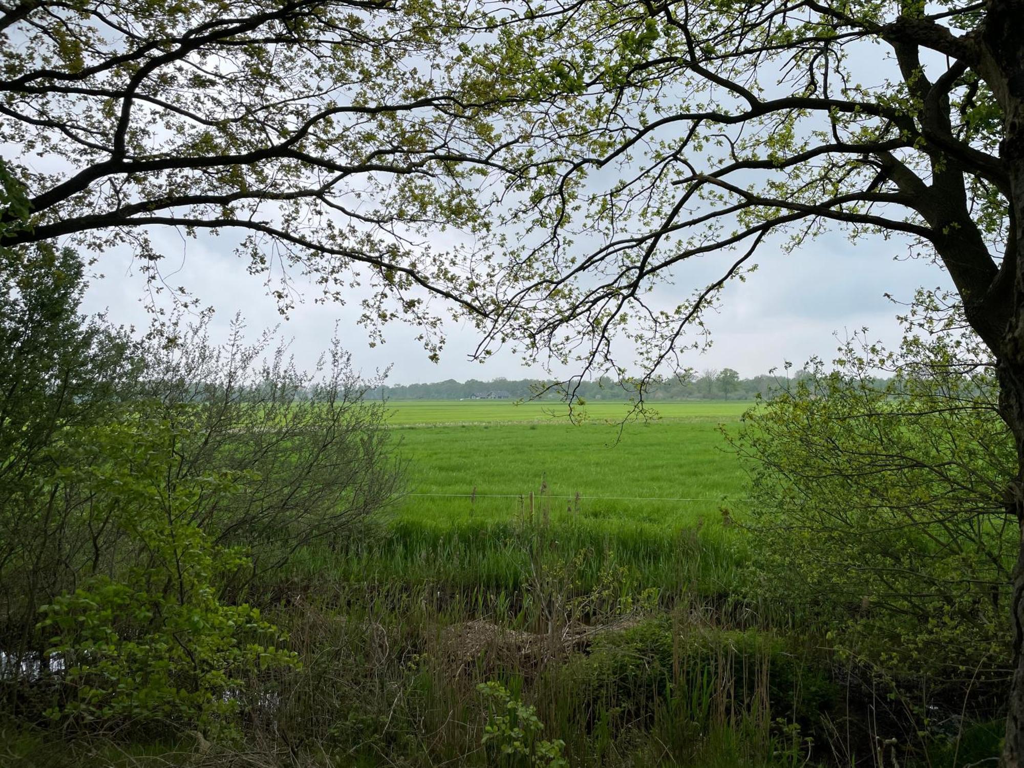 Het Riethuis Holthone Exteriér fotografie